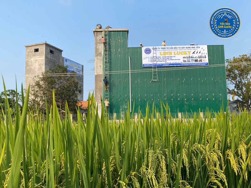 Dự án nhà Yến đã thi công