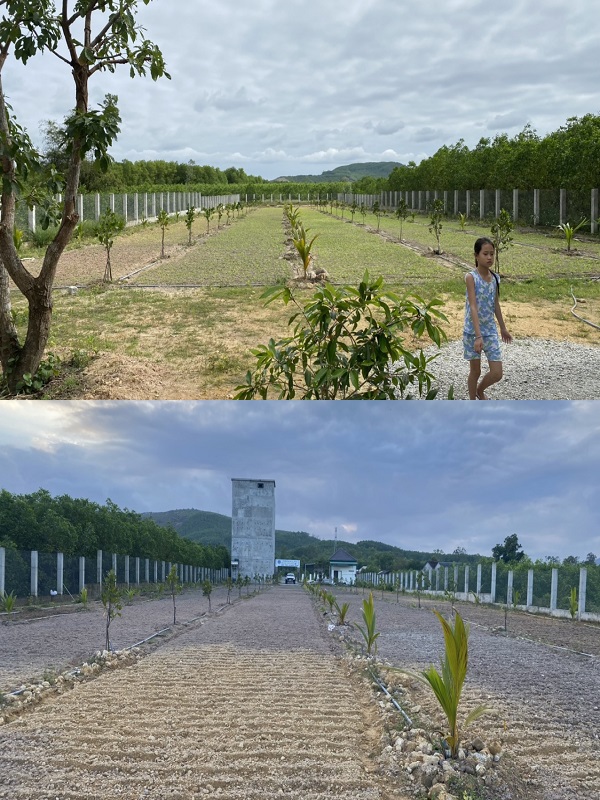 Khảo sát địa thế và lên bản vẽ cũng là bước quan trọng khi xây nhà yến