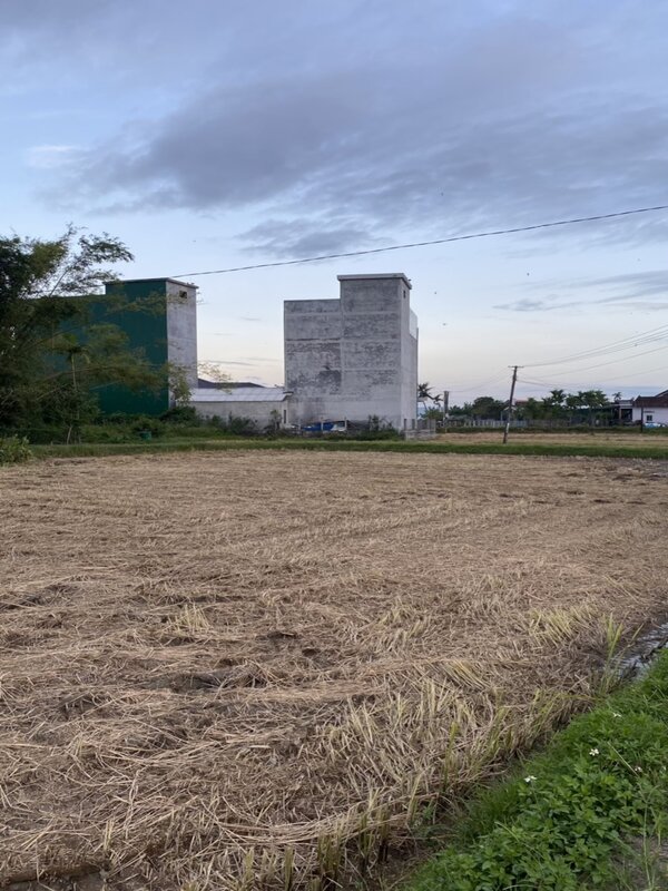 Xây nhà cho chim yến là bước đầu quan trọng nhất của việc nuôi chim lấy tổ