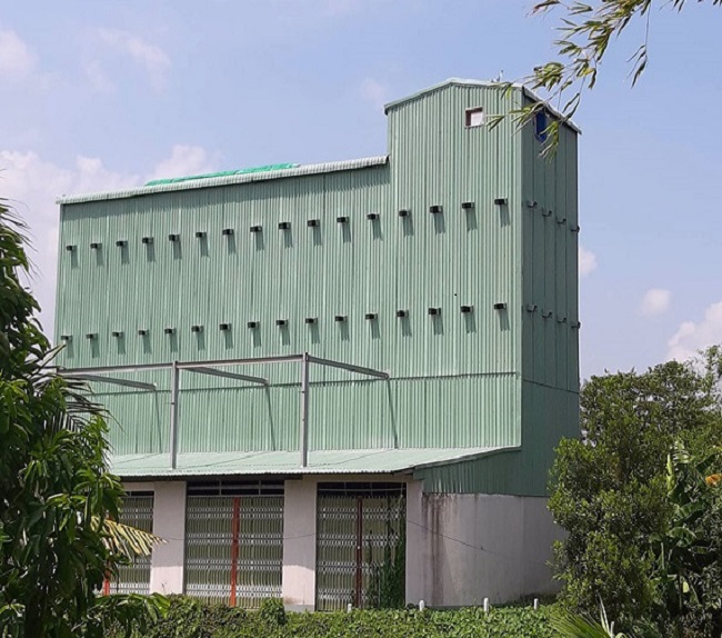 Có nên làm nhà yến bằng tôn không? Quy trình thực hiện như thế nào?