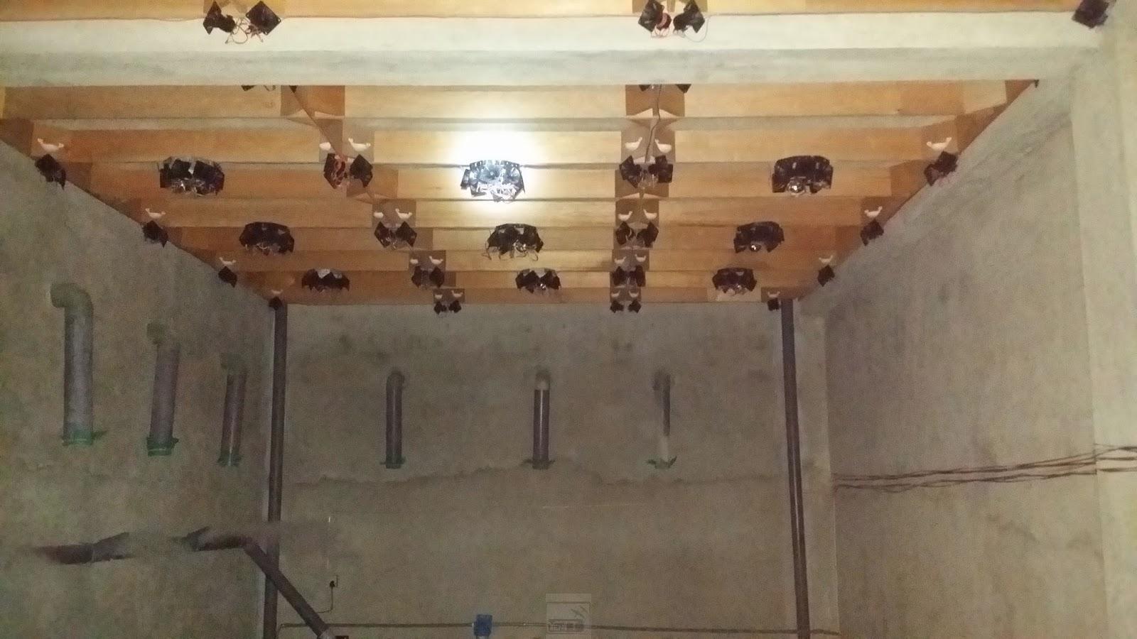 lưu ý khi làm nhà yến trên sân thượng