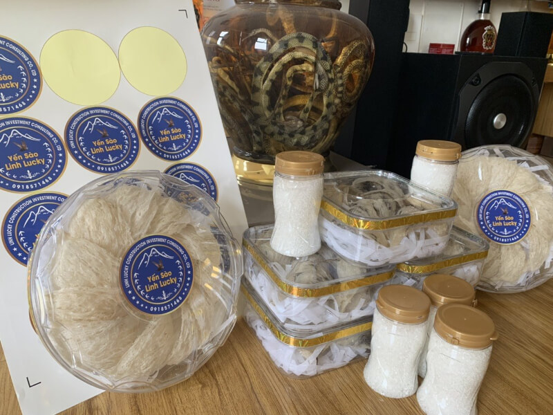 Nên thu hoạch yến vào thời điểm trước khi yến đẻ trứng để có chất lượng tổ yến tốt nhất