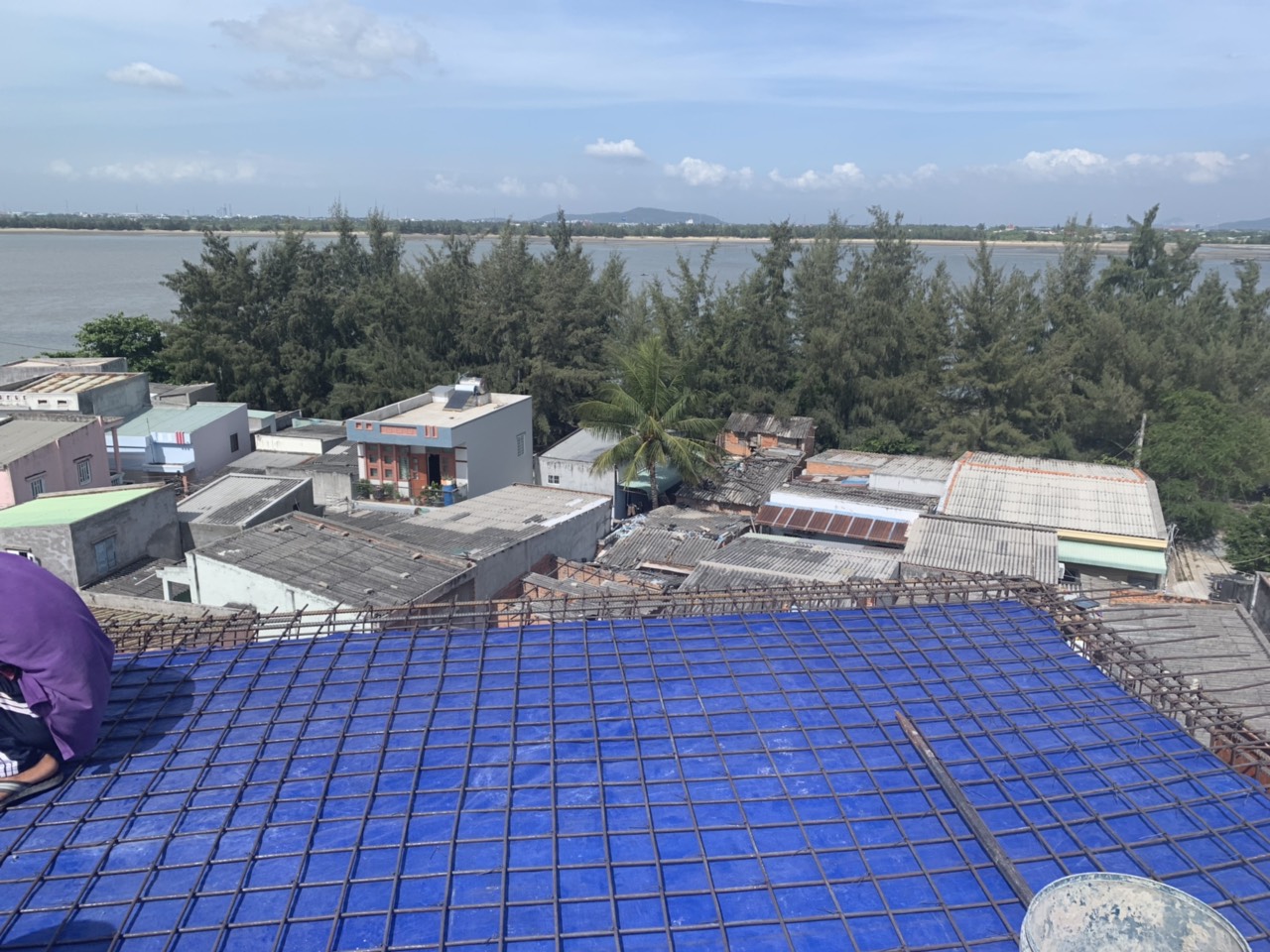 Gần ao, hồ là nơi thích hợp cho Yến đến làm tổ