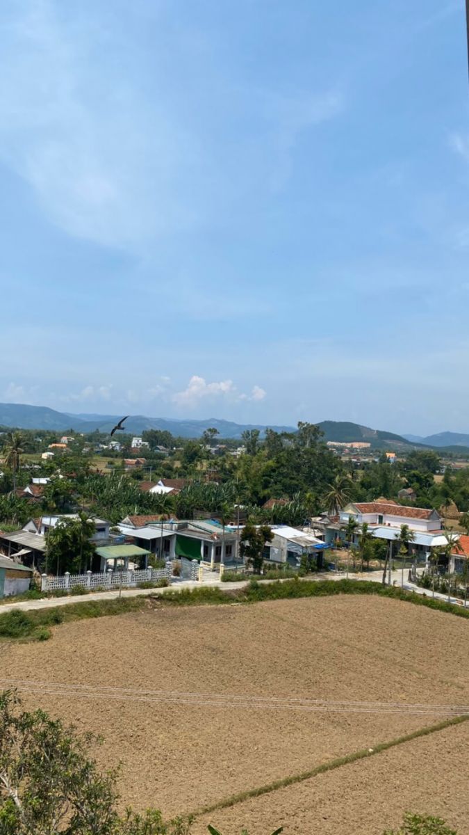 Diện tích đất xây dựng nhà yến phải tối thiểu là 100m2