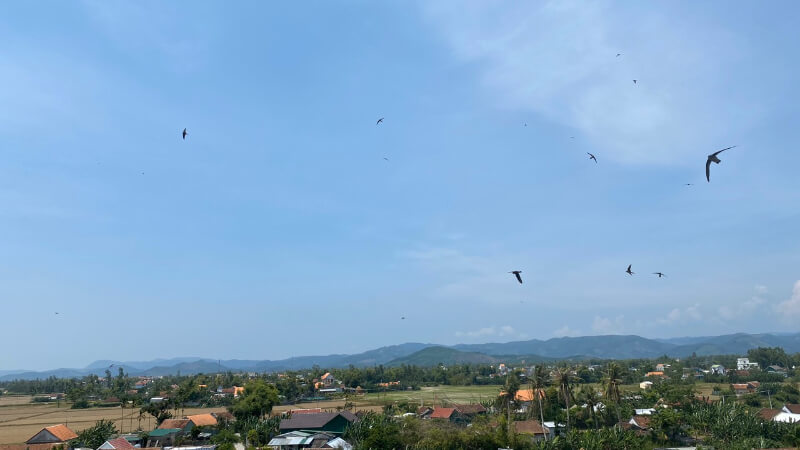 4 thiết bị nhà yến không thể thiếu khi đầu tư nuôi yến tại nhà