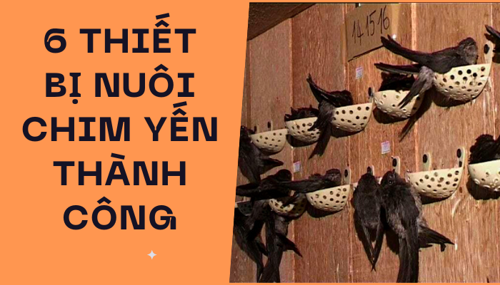 TOP 6 thiết bị nhà nuôi yến cần thiết