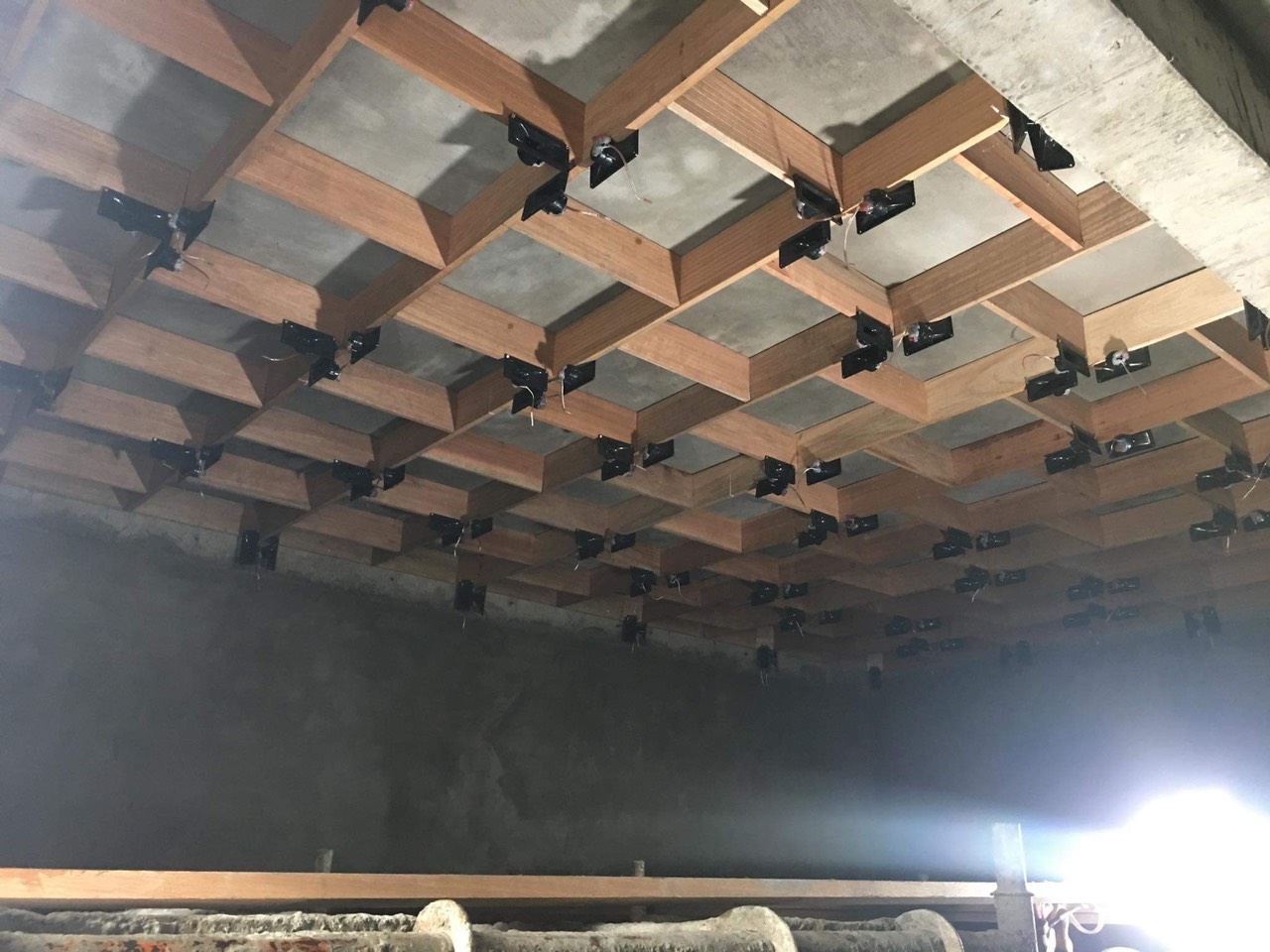 Thời gian mở loa nhà yến hợp lý giúp giữ chân yến ở lại sinh sống và làm tổ