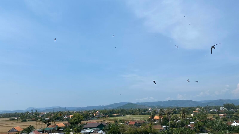 8 lưu ý chọn vị trí xây nhà yến thành công