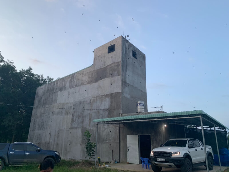 Cách xây nhà nuôi yến đảm bảo kỹ thuật mới nhất năm 2025